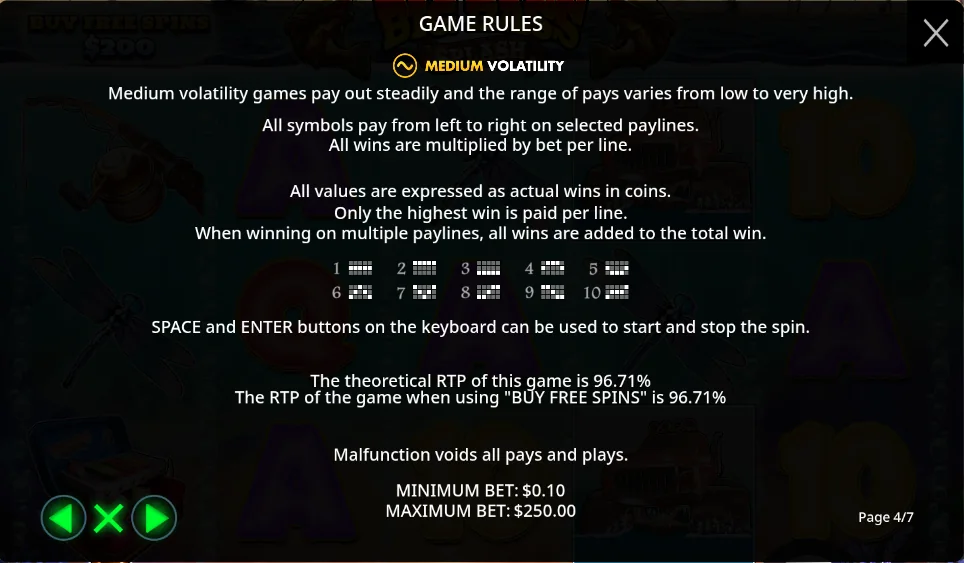Big Bass Splash rules screen stating MEDIUM volatility, a 96.71% return, two return figures only and a 250.00 maximum bet